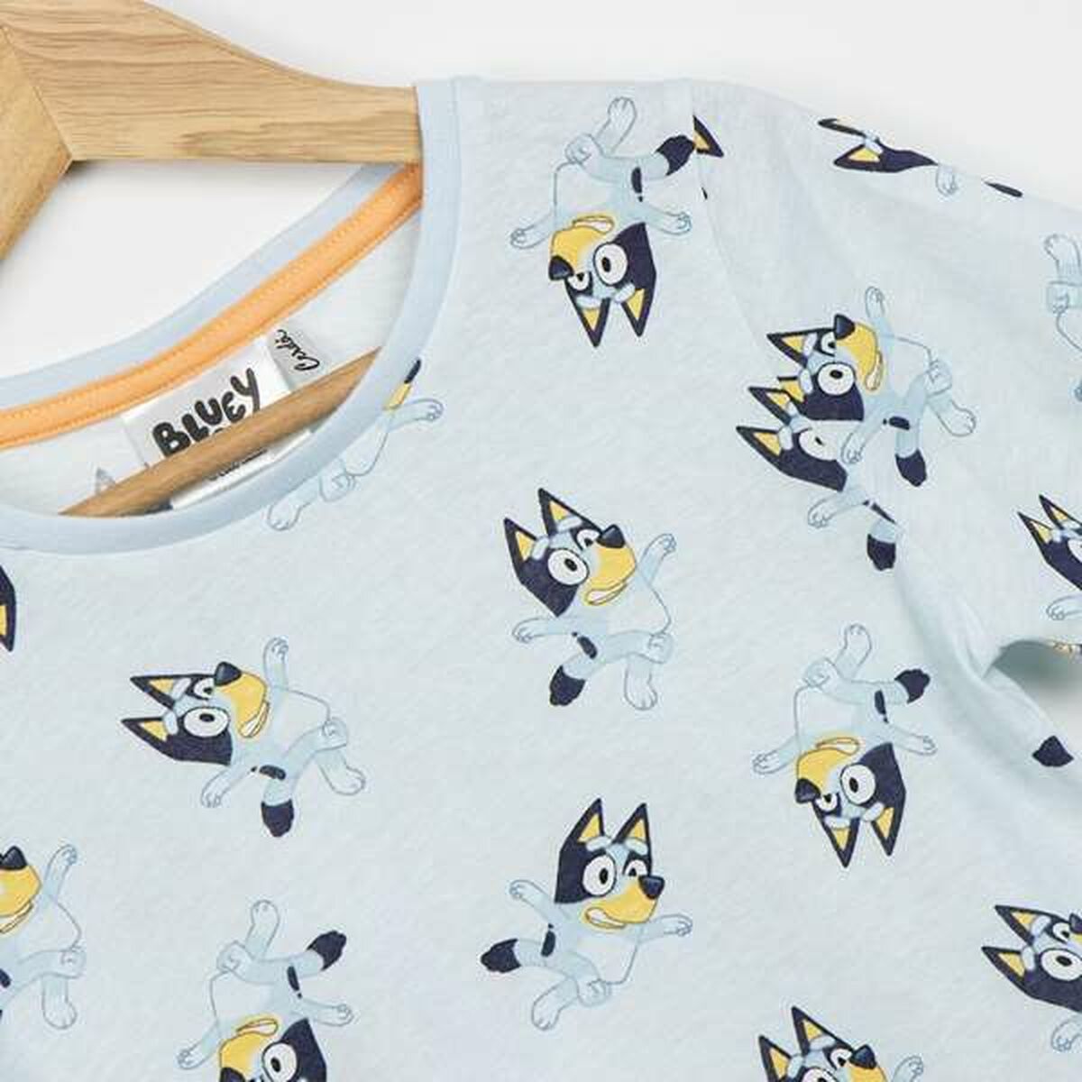 Set of clothes Bluey Blue